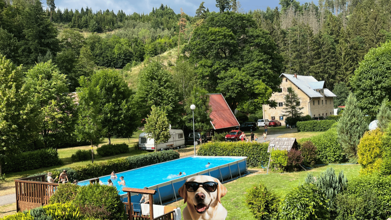 camping Karolina - pes v bazénu