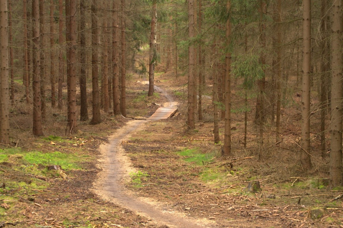Trutnov Trails - Bike park - Krkonoše