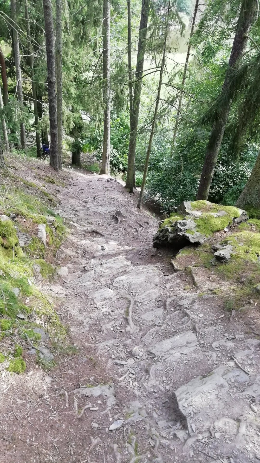 https://www.kempy-chaty.cz/sites/default/files/turistika/151_-_enduro_usek.jpg