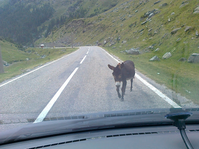 https://www.kempy-chaty.cz/sites/default/files/turistika/25072011396.jpg