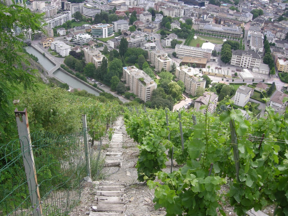 https://www.kempy-chaty.cz/sites/default/files/turistika/dscn0422-vinice_v_martigny.jpg