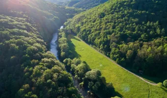 Camping Vranovská pláž - ubytování v lese