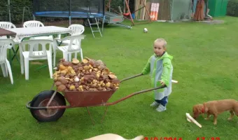 Levné ubytování na Šumavě Nová Pec - okolí chatky