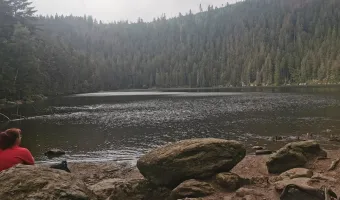 CHKO Šumava
