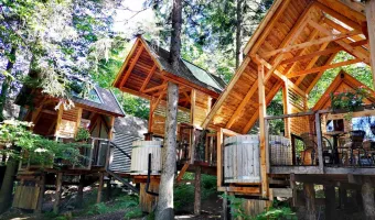 Ribno Alpine Glamping