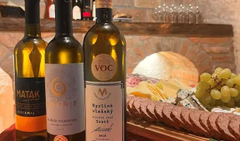 Degustace a prodej vín v penzionu - Penzion Trojna v Lednici