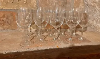 Degustace a prodej vín v penzionu - Penzion Trojna v Lednici