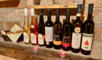 Degustace a prodej vín v penzionu - Penzion Trojna v Lednici
