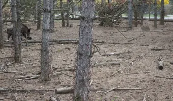 Přírodní rezervace Ranšpurk