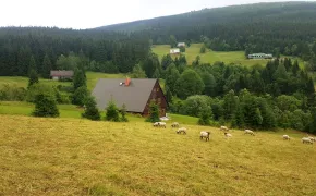 Penzion Chata Ťapka Dolní Malá Úpa, rodinné ubytování Krkonoše