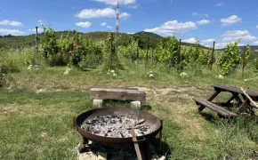 Ohniště - Ubytování Stará Vinice Velké Žernoseky