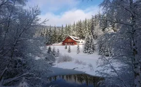 Lesní restaurant a penzion Jezírko Jáchymov - Krušné hory, Karlovarsko