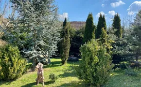 Penzion u rybníčka Příbraz Třeboň, jižní Čechy