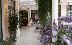 Apartma La Provence, lázeňský penzion Mariánské Lázně, Karlovarský kraj