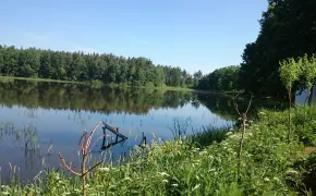 Ubytování v chatě u rybníka - Chata U Smolíků - ubytování Hrachoviště, levné chaty Třeboň, jihočesko