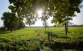 Residence Tvrz Skočice, luxusní apartmány jižní Čechy, na Šumavě penzion