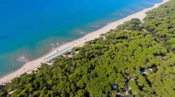 Kemp Maremma Sans Souci