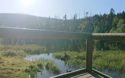 Jezero Laka - Šumava