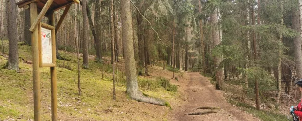 Sigmondova stezka_trasa v lese
